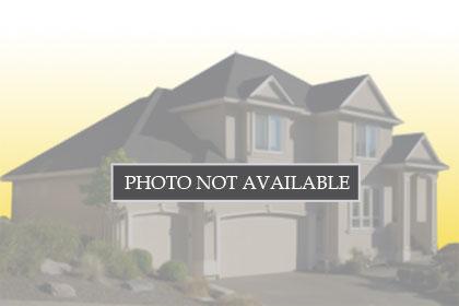 7325 WILD BLACKBERRY, WINTER GARDEN, Single Family Residence,  for sale, Altis Realty